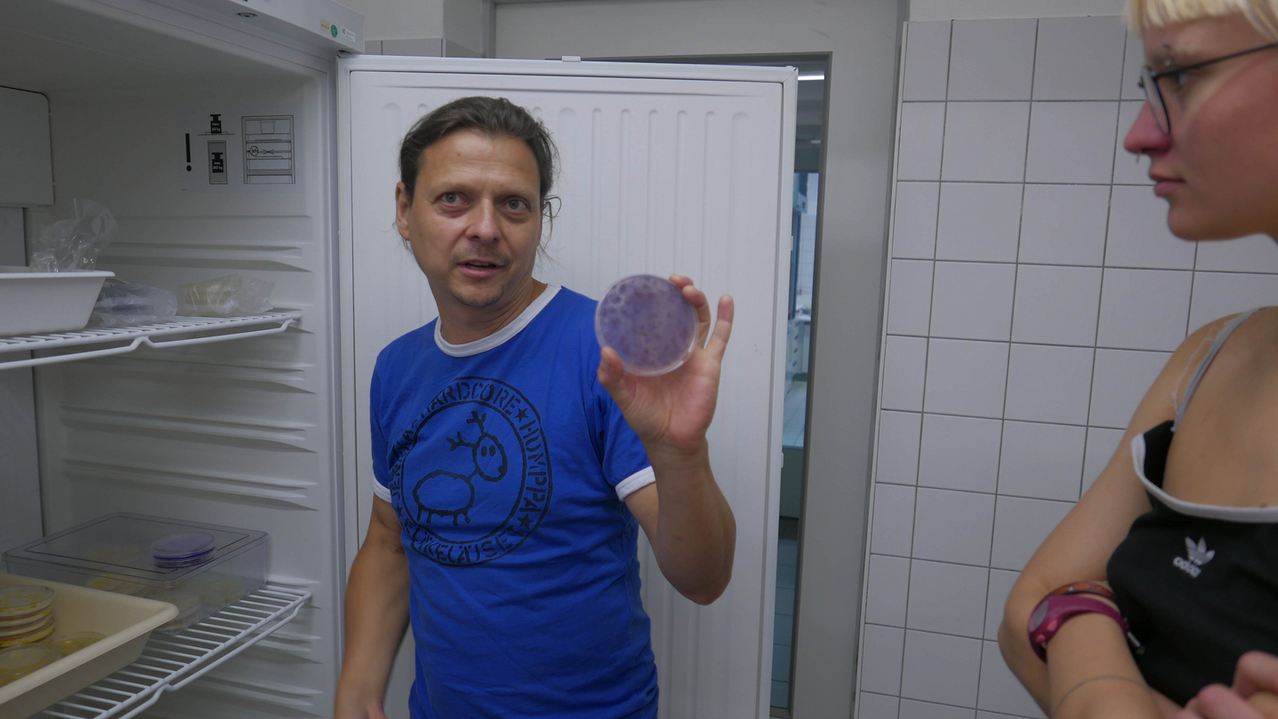 Im Labor vor einem Kühlschrank wird eine Petrischale mit Mikroorganismen gezeigt