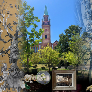 maulbeerkreuzseide_montage_sj