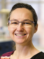 Vicky Goralczyk kennt sich in der Biotechnologiebranche in Berlin bestens aus. Vor ihrer Berufung 2023 an die BHT war sie im Bereich Zelllinien- und Bioprozessentwicklung tätig, zuletzt auf Direktorebene bei FyoniBio. Vicky Goralczyk